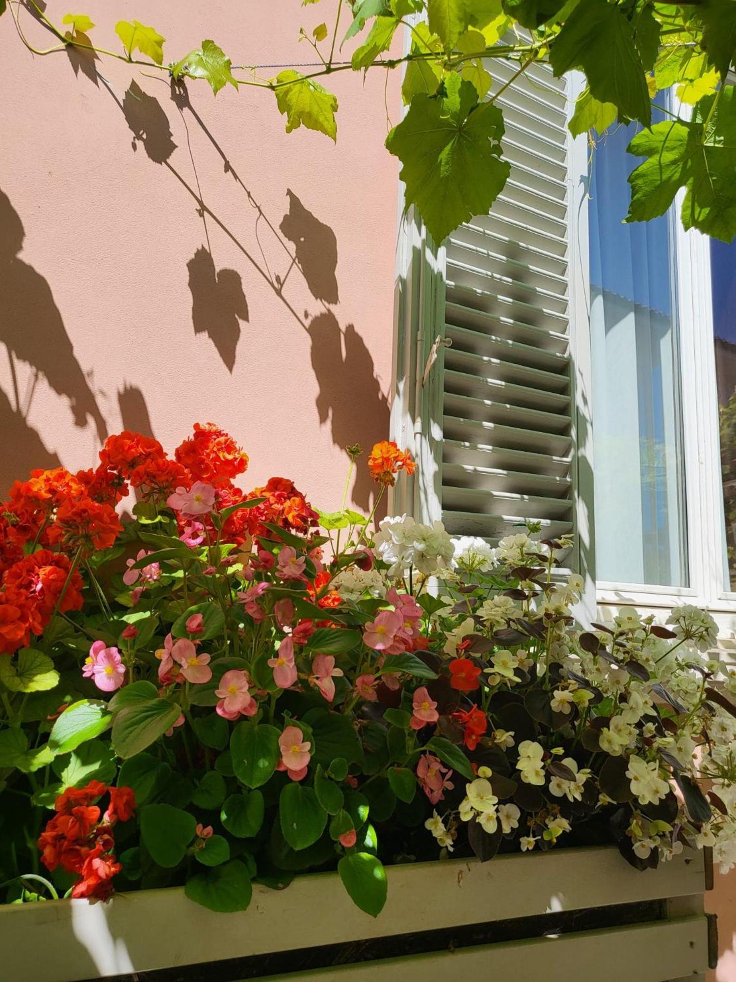 Il Buen Retiro Hotel Lucca Buitenkant foto