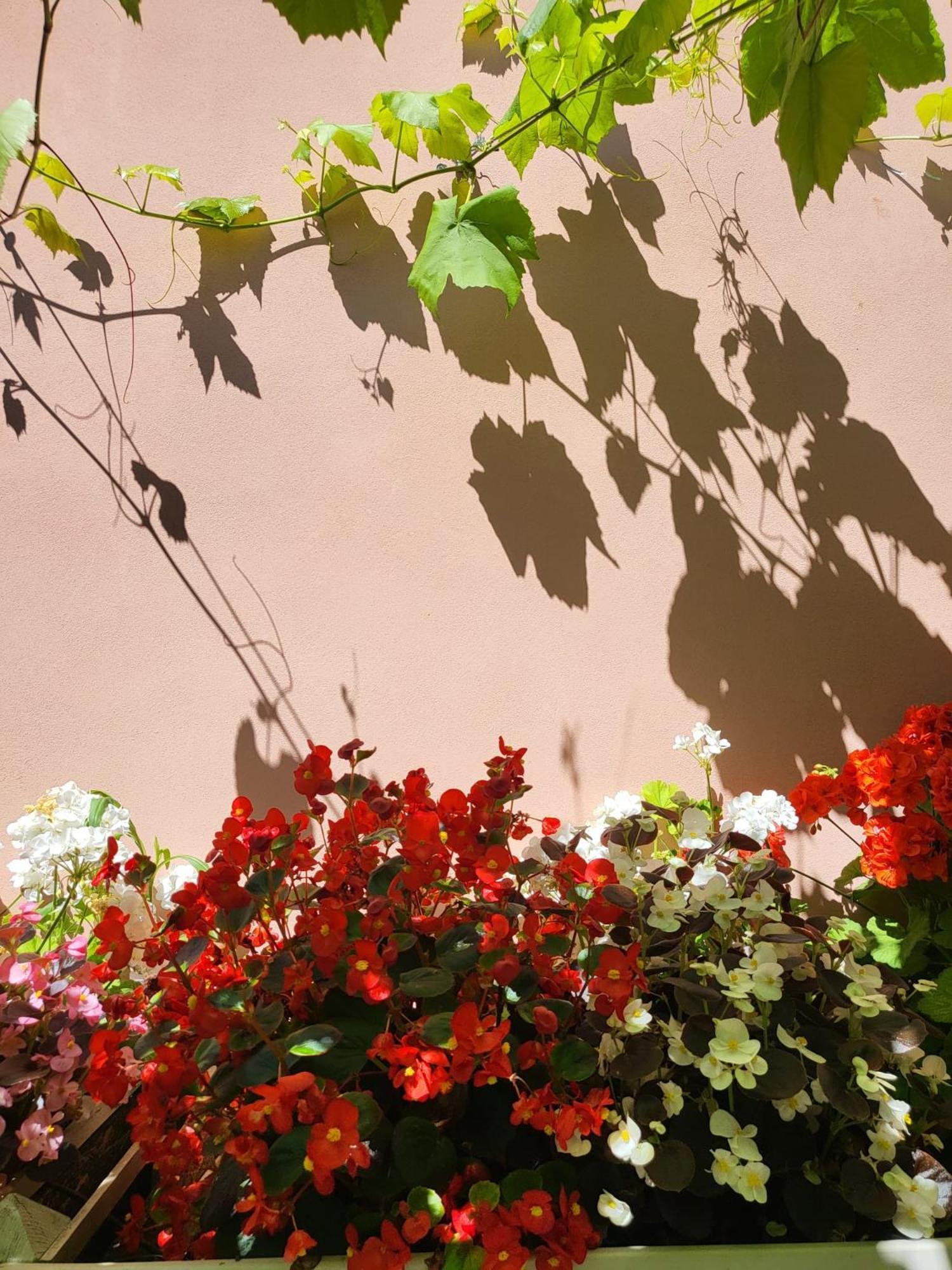 Il Buen Retiro Hotel Lucca Buitenkant foto