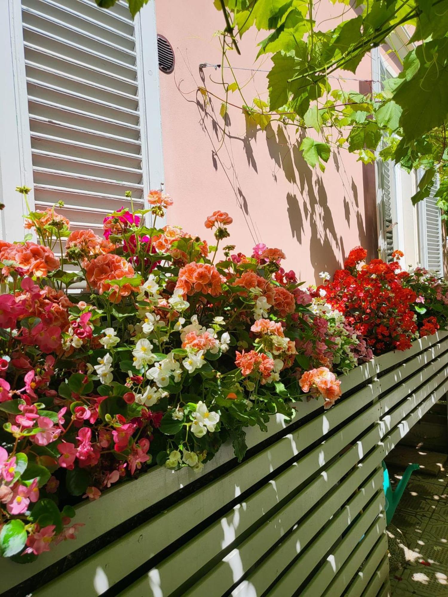 Il Buen Retiro Hotel Lucca Buitenkant foto