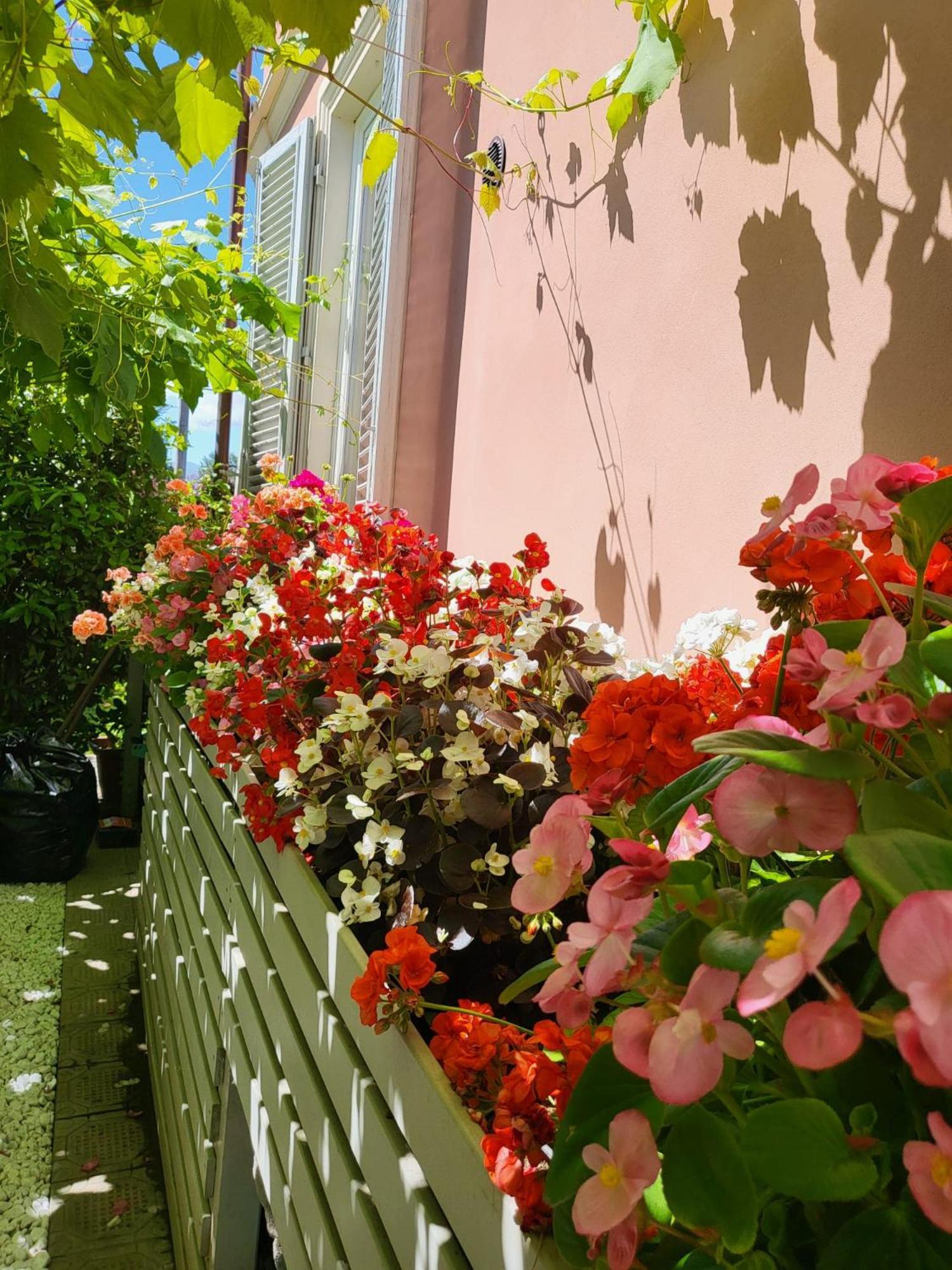 Il Buen Retiro Hotel Lucca Buitenkant foto