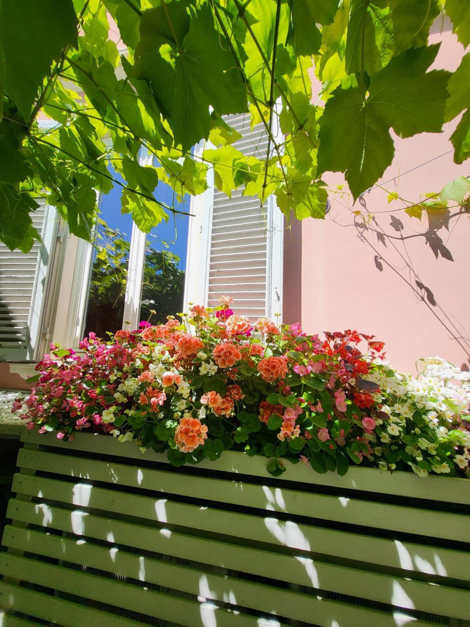 Il Buen Retiro Hotel Lucca Buitenkant foto