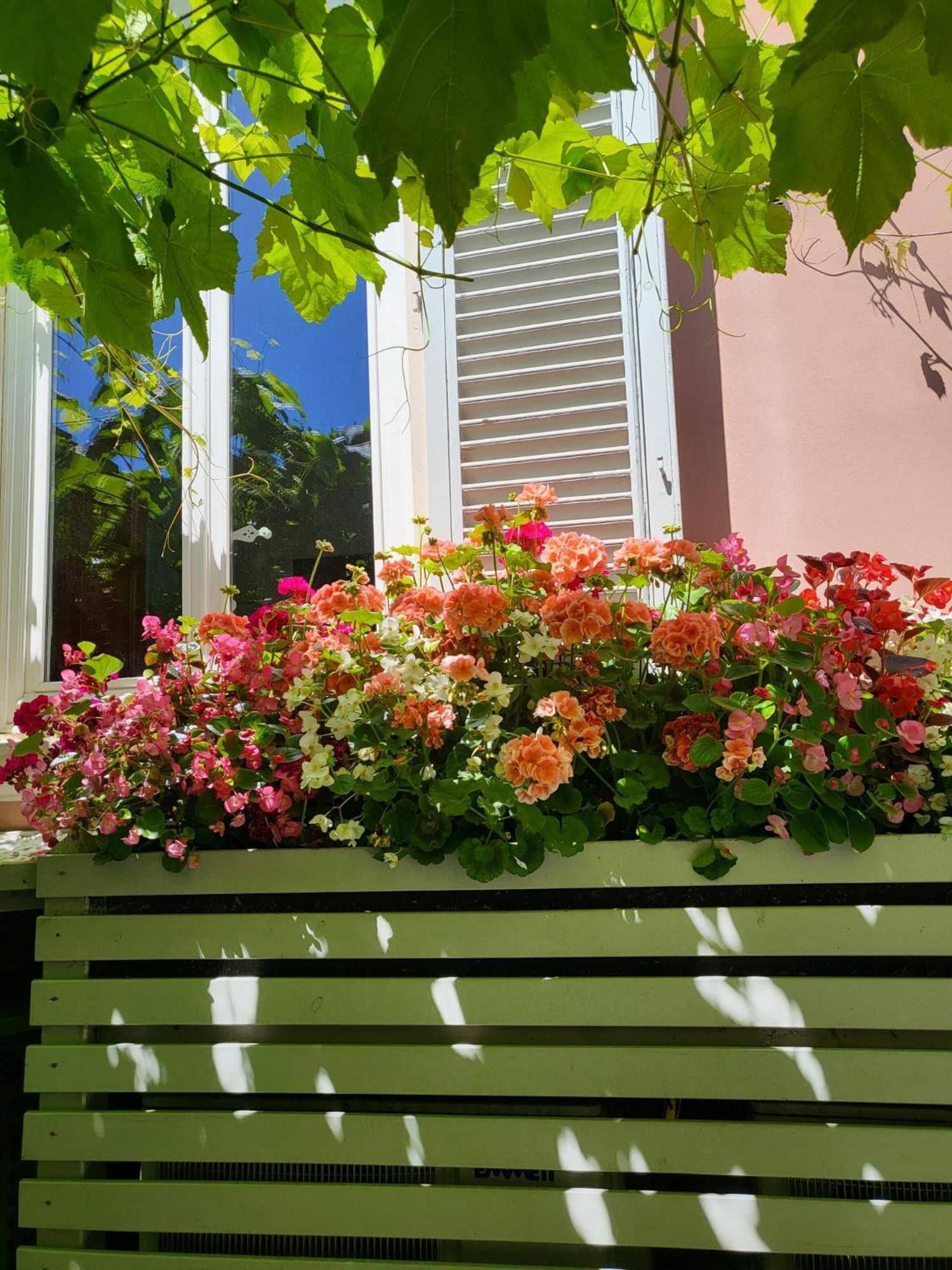 Il Buen Retiro Hotel Lucca Buitenkant foto