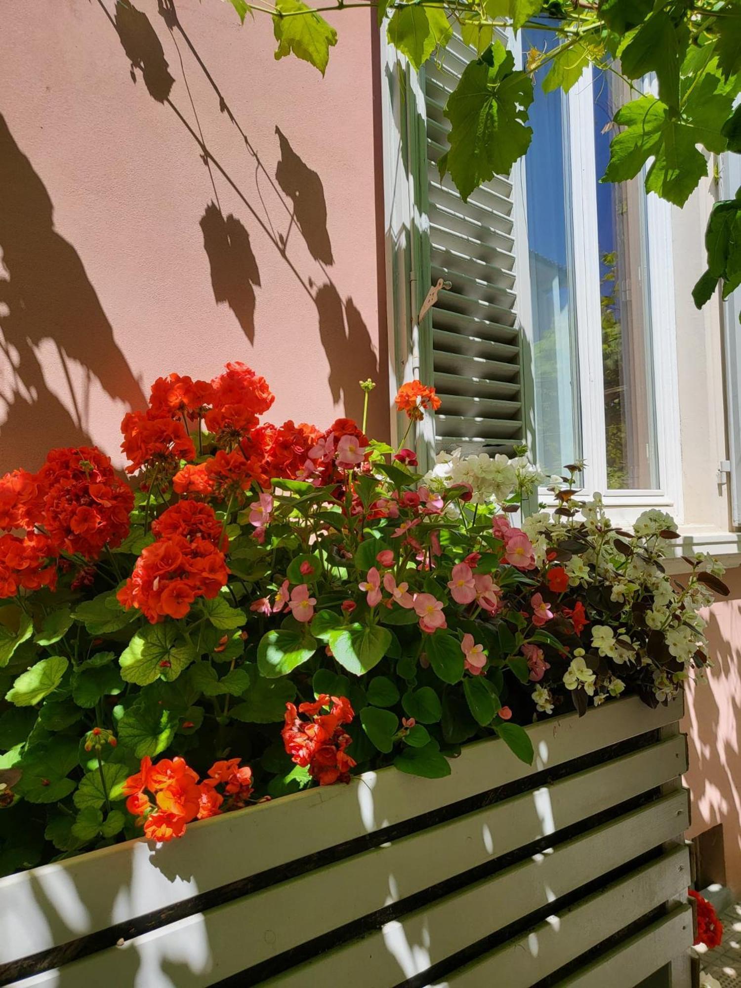 Il Buen Retiro Hotel Lucca Buitenkant foto