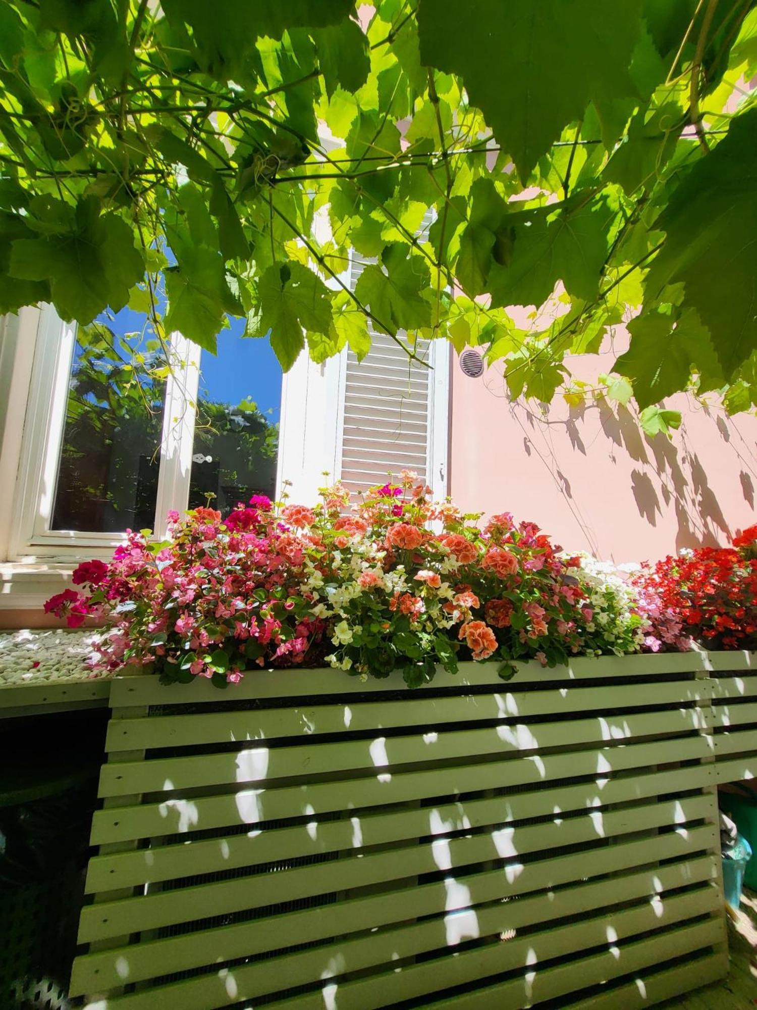 Il Buen Retiro Hotel Lucca Buitenkant foto