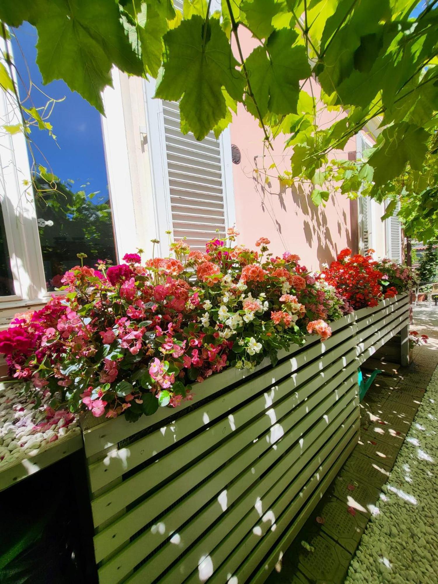 Il Buen Retiro Hotel Lucca Buitenkant foto