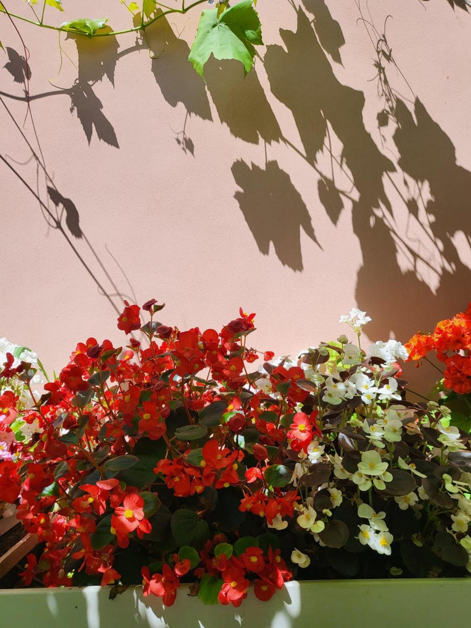 Il Buen Retiro Hotel Lucca Buitenkant foto